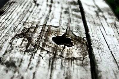 Close-up of wooden plank