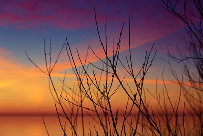 Golden horizon. baltic sea beach basking in sunset's glow. northern europe scenery.