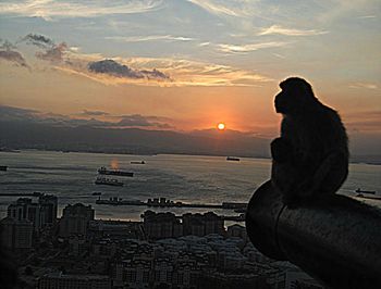 Scenic view of sea at sunset