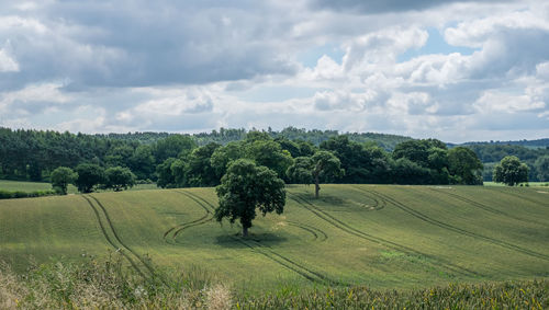 Scenic view of field against cloudy sky