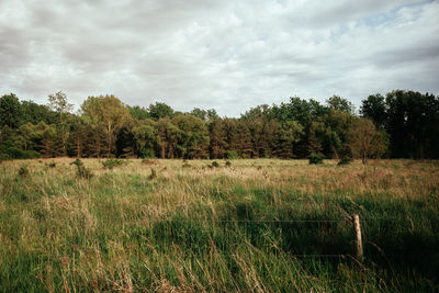 Scenic view of field against sky