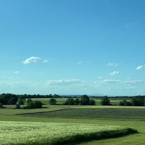 Scenic view of agricultural field against blue sky