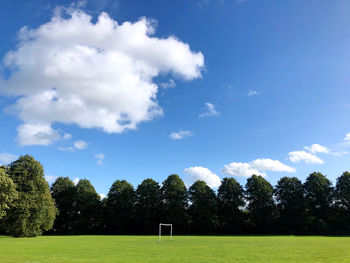 Trees on field against sky