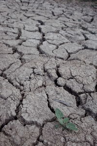 Full frame shot of cracked field