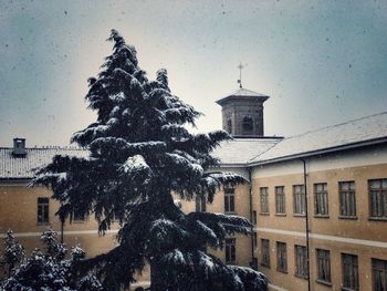 Statue in city during winter