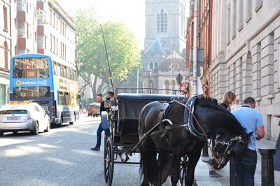 Horse cart on street in city