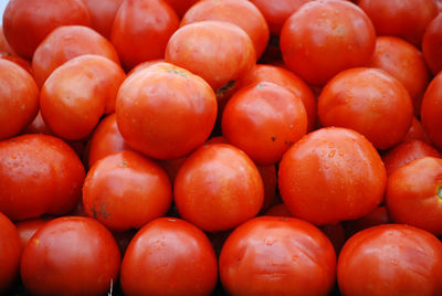 Collection of organic red tomatos at a farm stand.