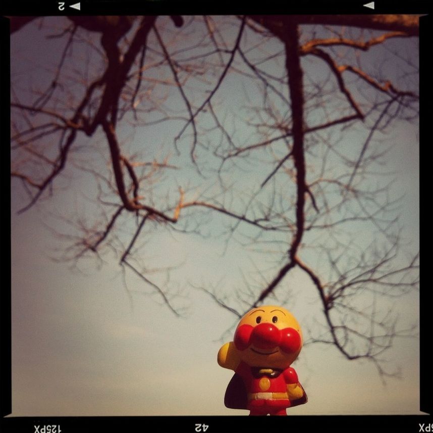 transfer print, auto post production filter, bare tree, branch, tree, red, water, nature, outdoors, hanging, high angle view, day, animal representation, no people, tranquility, childhood, human representation, reflection, dusk, tree trunk