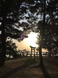 Trees in playground against sky