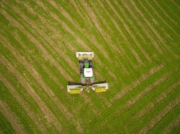 High angle view of agricultural field