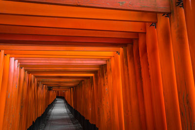 View of torii gates
