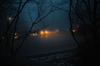 Bare trees on snow covered street at night