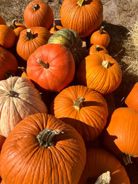 Full frame shot of pumpkins