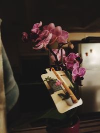 Close-up of pink orchids on table at home