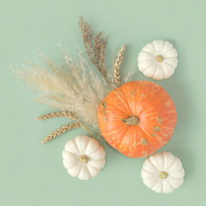 Pumpkins on green. flat lay, top view, copy space. nordicthanksgiving  modern invitation mock up