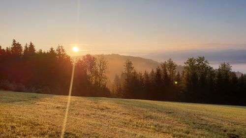 Scenic view of field against sky during sunset