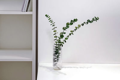 Minimalist modern interior details, room in white colors, eucalyptus branch in the glass
