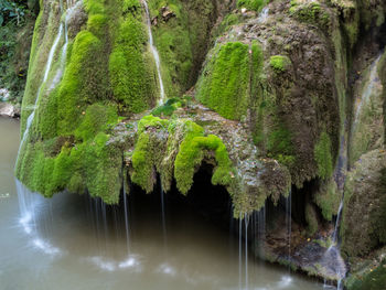 Scenic view of waterfall