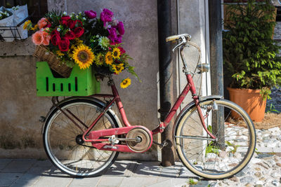 Flowers in basket on bicycle against wall