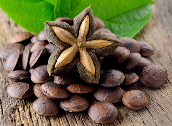 High angle view of shells on table