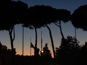 Low angle view of silhouette trees against sky at sunset