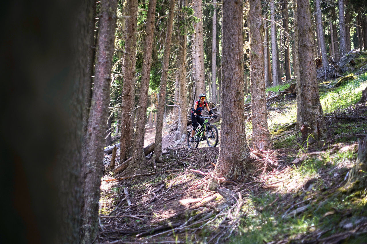 PERSON RIDING BICYCLE ON FOREST