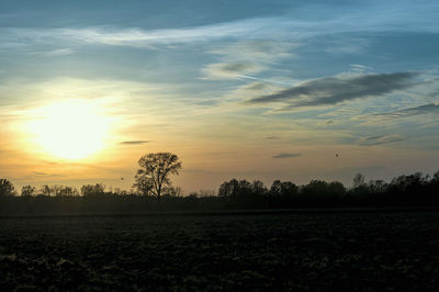 Scenic view of field against sky during sunset