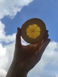 Person holding apple against sky