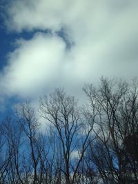 Low angle view of bare trees against sky