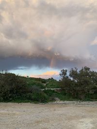 Scenic view of field against sky