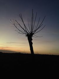 Silhouette of trees on landscape at sunset