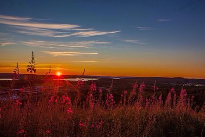 Scenic view of landscape at sunset