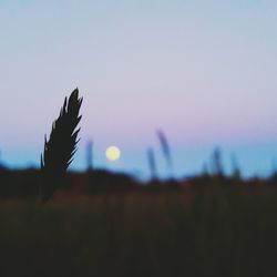 Scenic view of sky at sunset