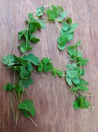 High angle view of leaves on table