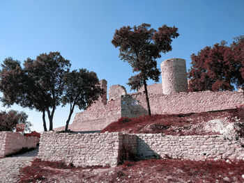 Low angle view of trees and building against sky