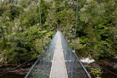 Footbridge amidst trees in tropical forest in new zealand 