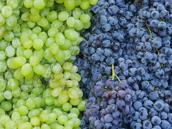 Full frame shot of grapes for sale at market stall