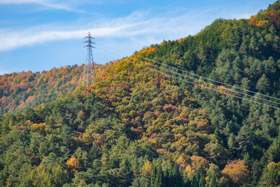 Scenic view of trees by mountains against sky