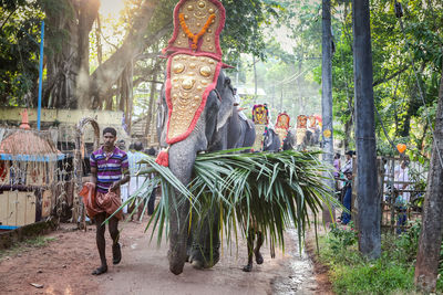 Panoramic shot of statue against trees