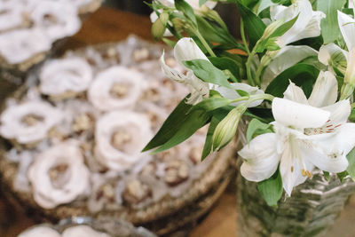 Close-up of white flowers