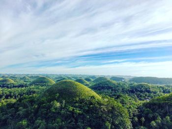 Scenic view of forest against sky