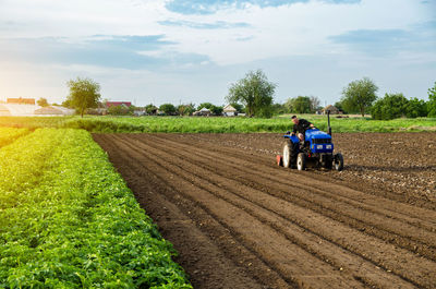 The farmer works the field after harvest. blue tractor on a farm field. milling soil, crushing 