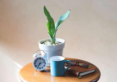 Close-up of potted plant on table at home