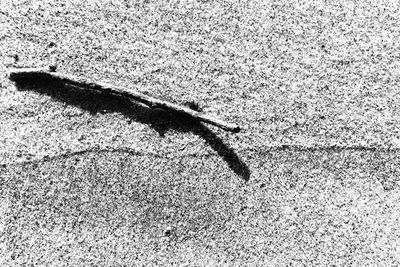 Full frame shot of tiled floor