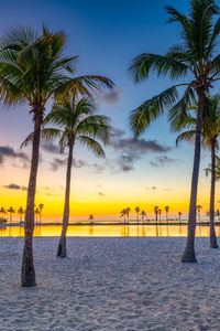 Palm trees by swimming pool against sky during sunset