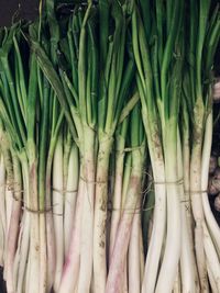 Full frame shot of vegetables long onion for sale in market. 