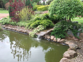 Scenic view of lake in park