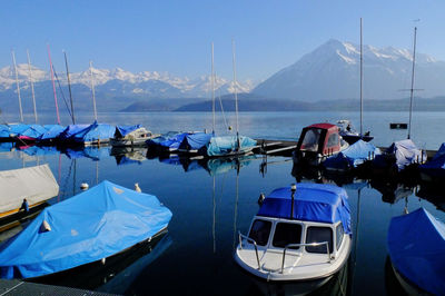 Boats moored at harbor