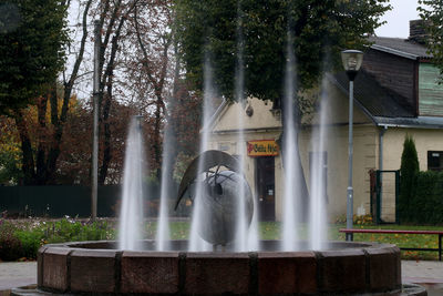 Fountain against trees