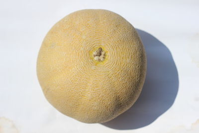 High angle view of lemon slice over white background